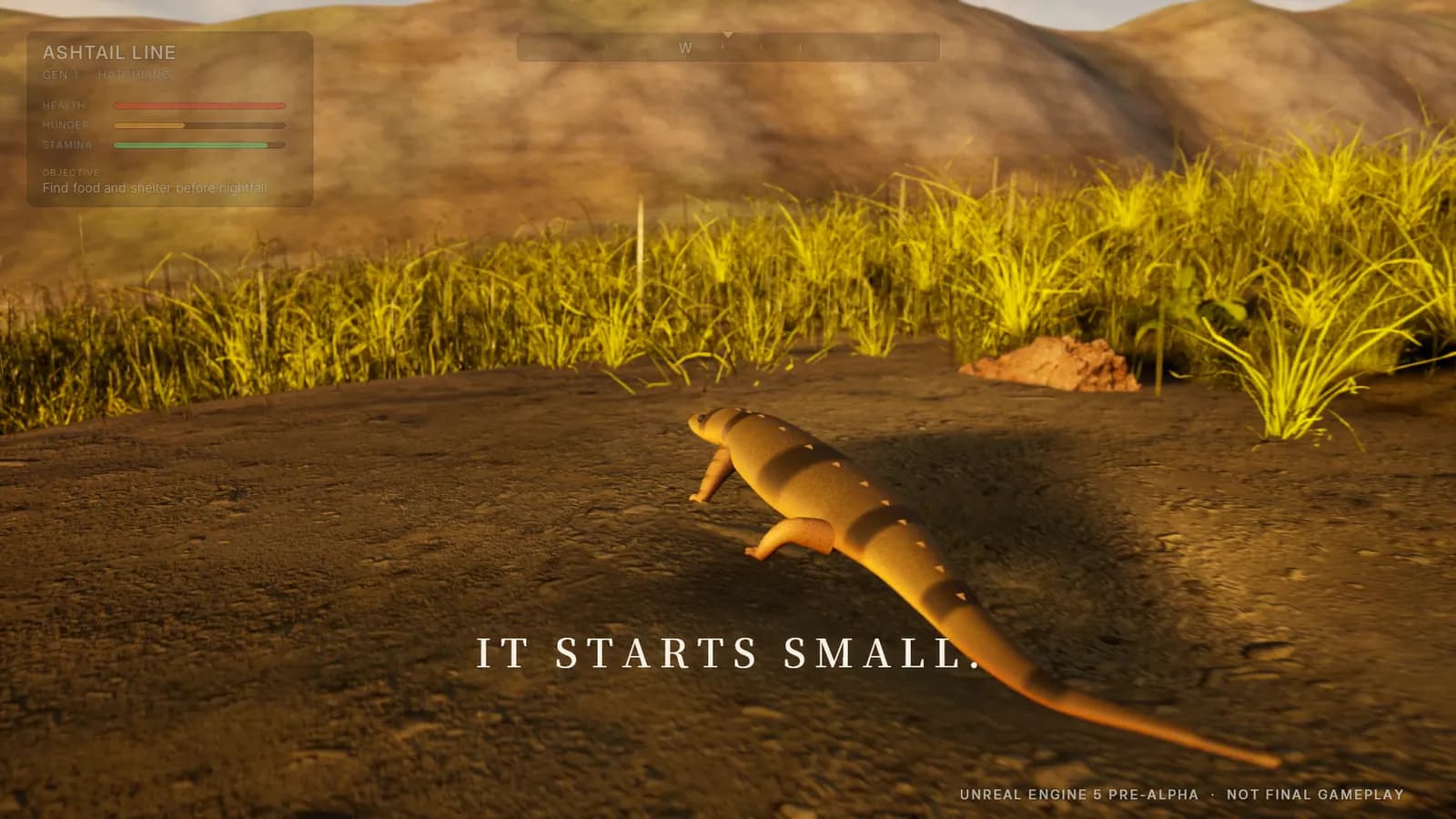 An Epic Tail trailer frame: a small banded lizard crossing dry ground between clumps of golden grass.