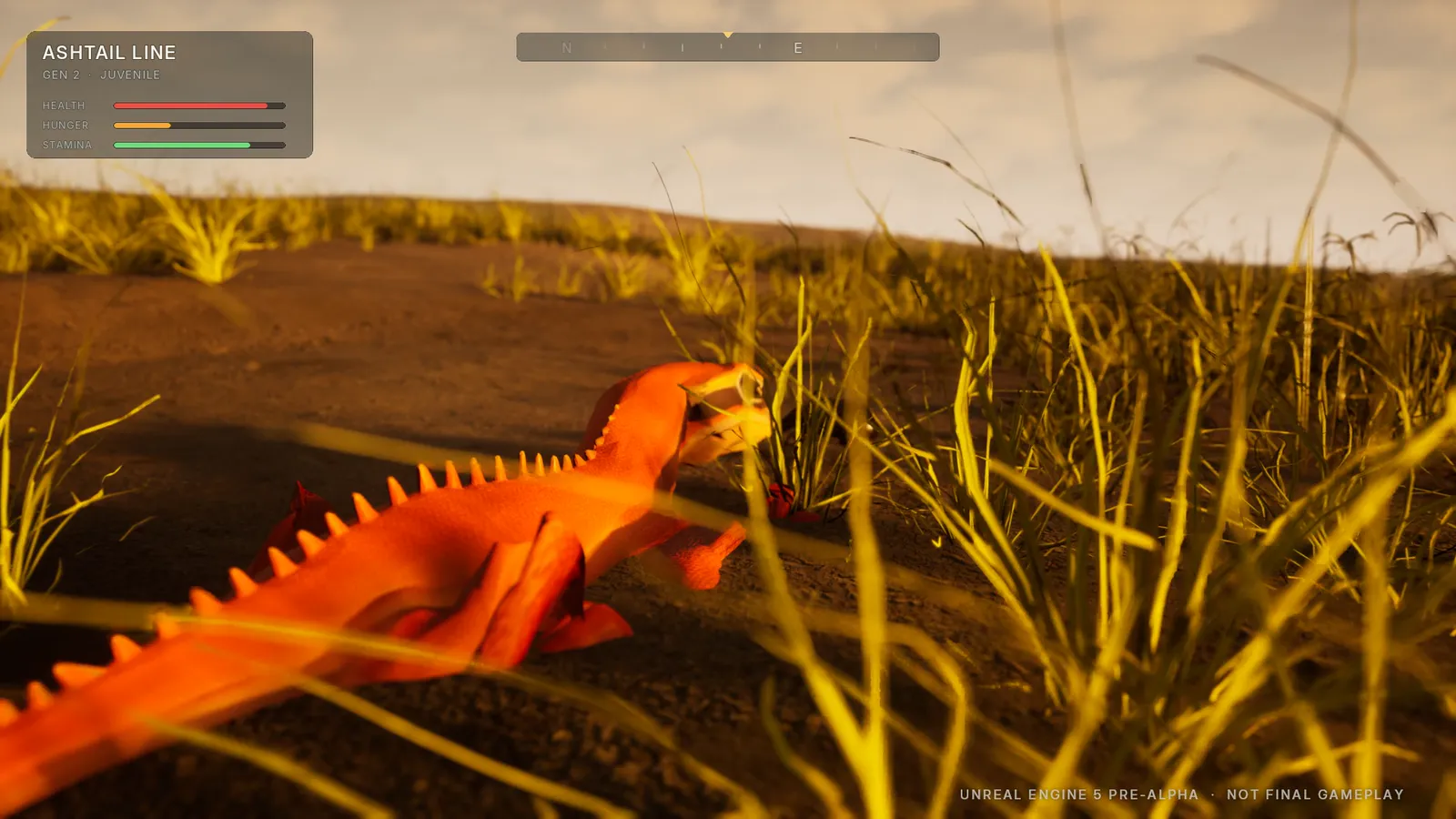 Close-up of a bright orange spined lizard rearing up in tall golden grass.